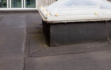 disadvantages of Snelland flat roofs