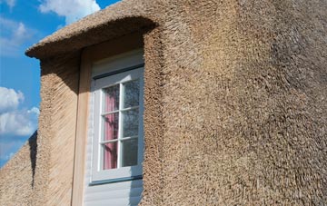 Snelland thatch roof disadvantages