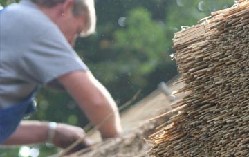 professional Snelland thatchers