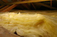 Snelland pitch roof insulation